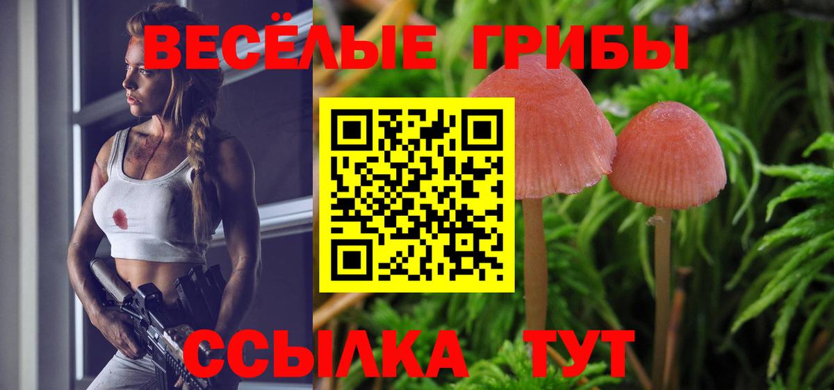 Тосно  Псилоцибиновые грибы Magic Shrooms  Вход с VPN  Галлюциногенные грибы GOLDEN TEACHER 